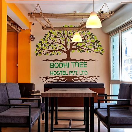 קטמנדו Bodhi Tree Hostel מראה חיצוני תמונה